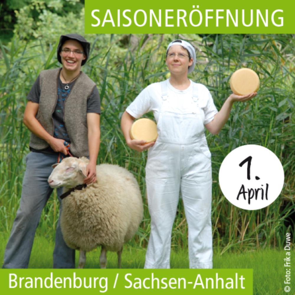 Bild-Nr. 11898
