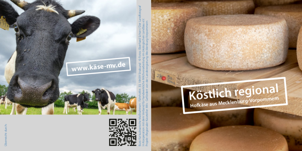Bild-Nr. 20279