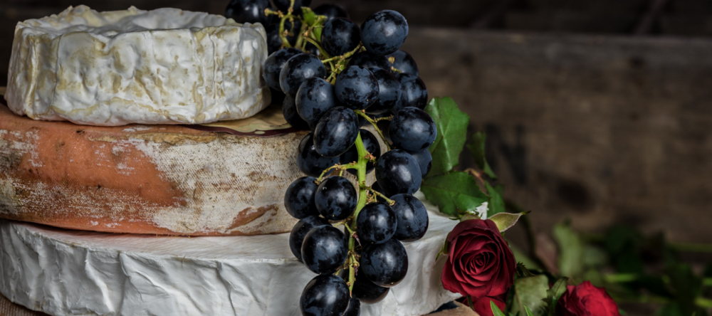 Präsentation der Fibel „Heumilch-Käse und seine Freunde“