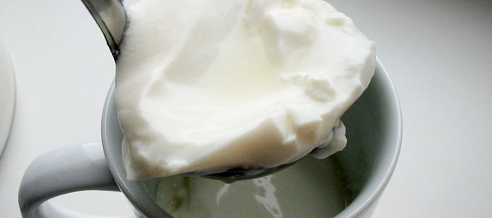 D wie Dickmilch
