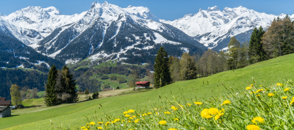 Das Gold der Alpen 