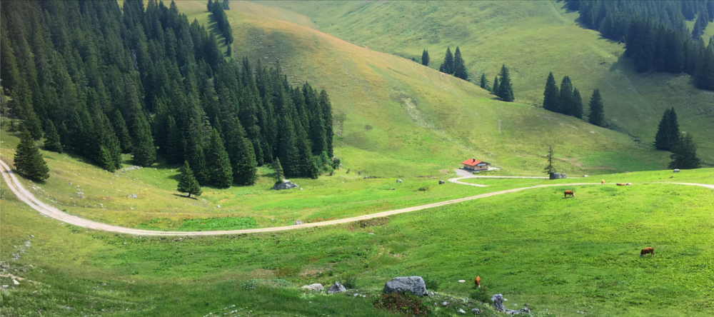 Ein Sommer auf der Alp - für viele ein Traum.